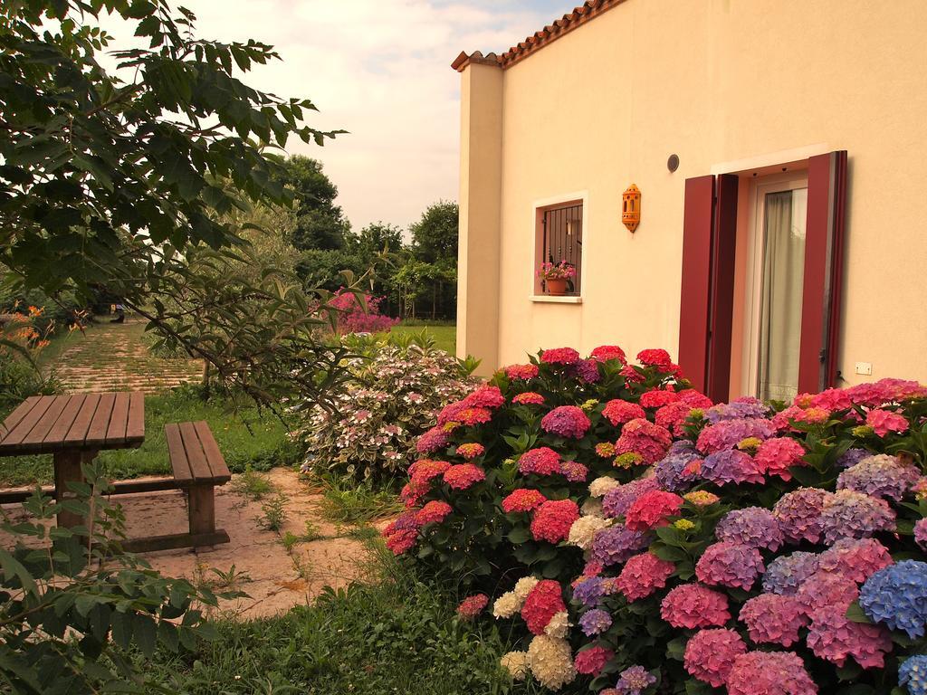 Agriturismo Il Magicorto Cassola Quarto foto