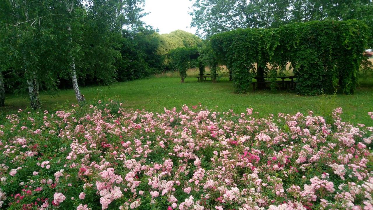 Agriturismo Il Magicorto Vila Cassola Exterior foto